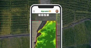 geolocalización y mapas