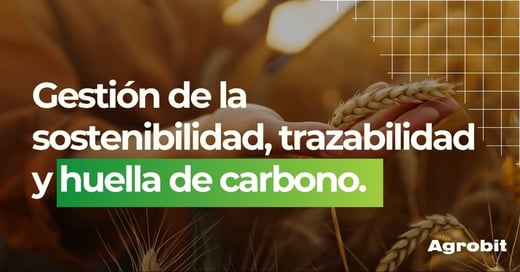 Cómo convertir la sostenibilidad en un activo medible