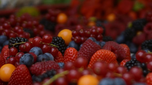 Producción de berries en América Latina: qué cambió y dónde se define hoy la rentabilidad