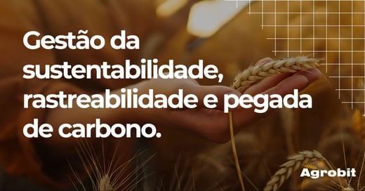Como transformar a sustentabilidade em um ativo mensurável