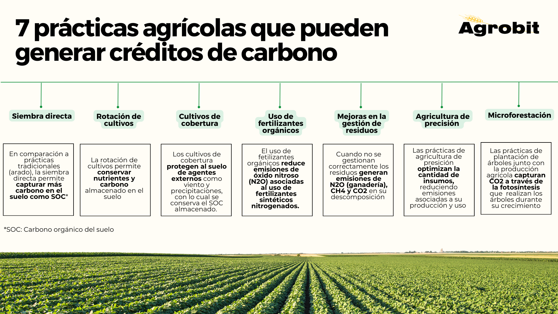 Creditos de carbono agrobit