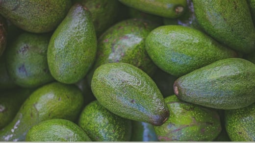 Aguacate o palta en Latinoamérica: por qué producir más no garantiza un mejor margen