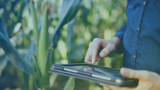 SAP AGRO: por qué las grandes empresas conectan su operación con SAP