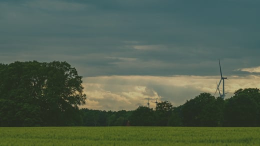 Qué evaluar en una plataforma de gestión agrícola antes de invertir