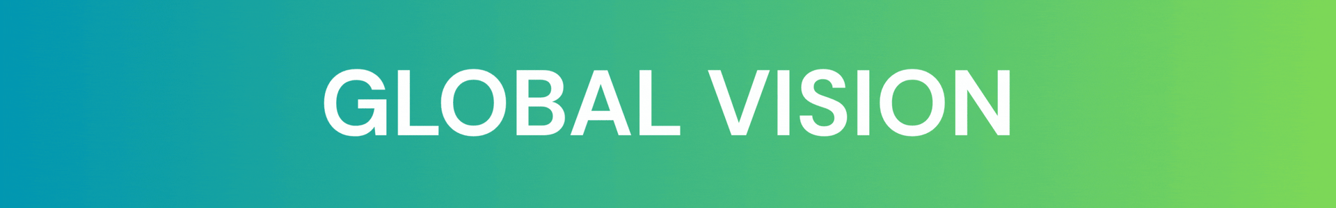 vision EN