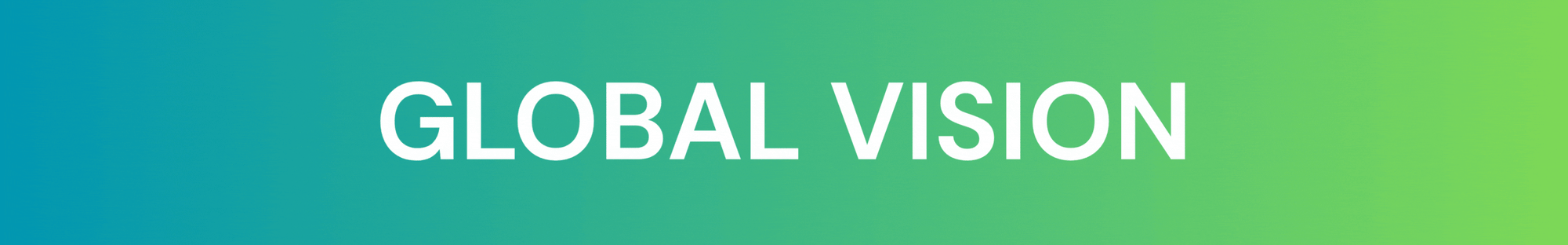 vision EN