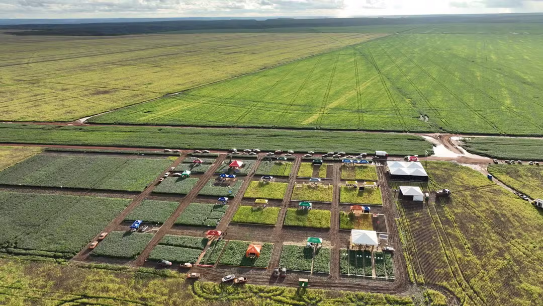 Brasilagro y Agrobit: cómo se gestiona una operación agrícola de 270.000 hectáreas.