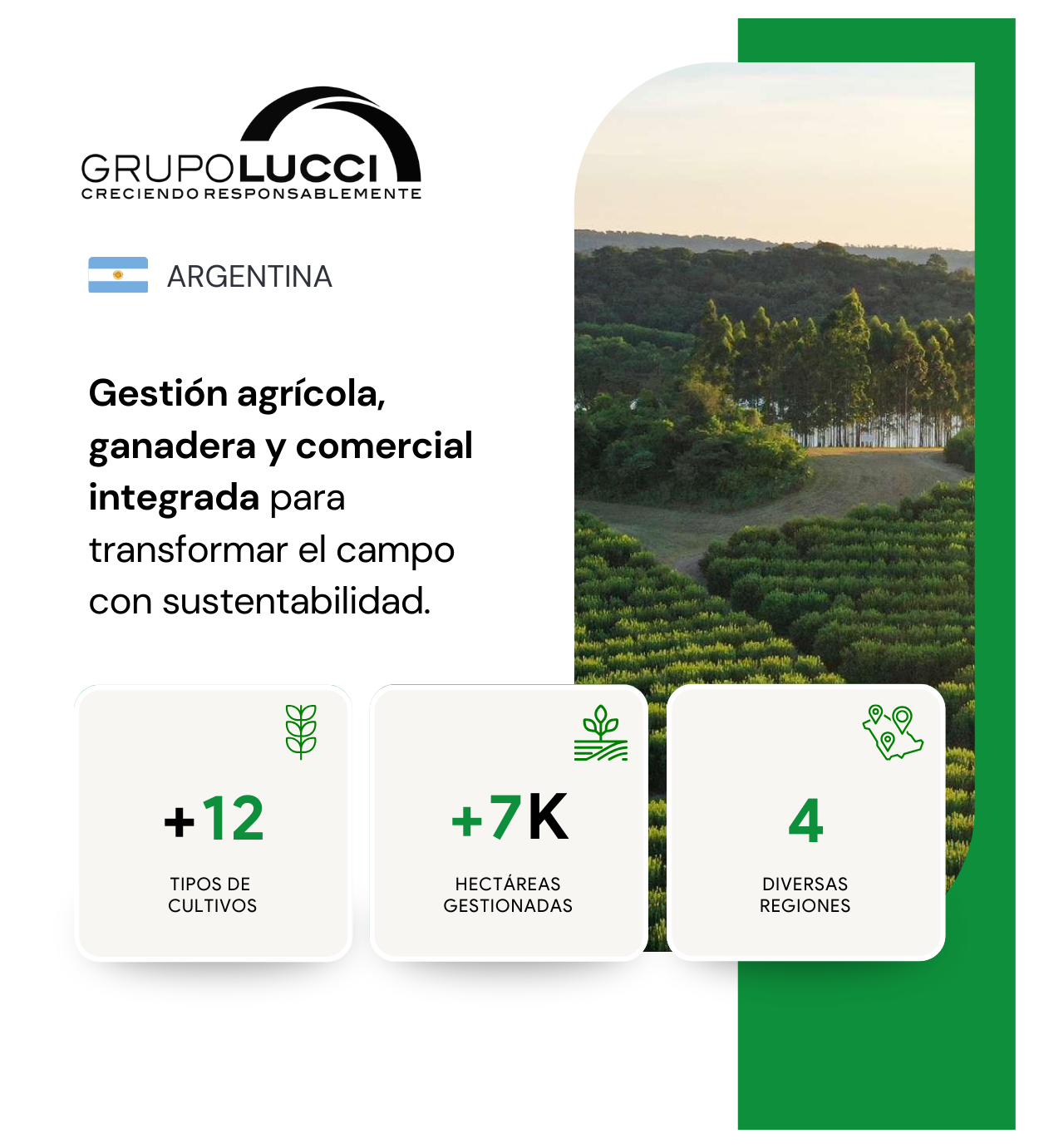 Grupo lucci-2