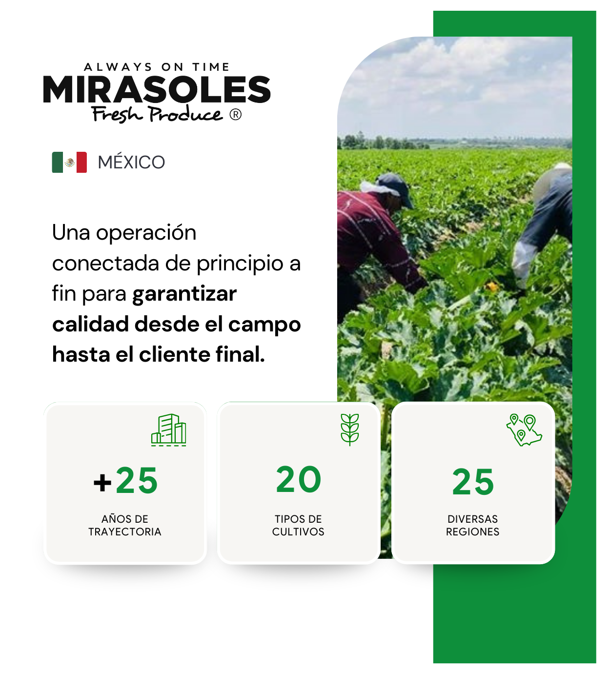 Mirasoles-2